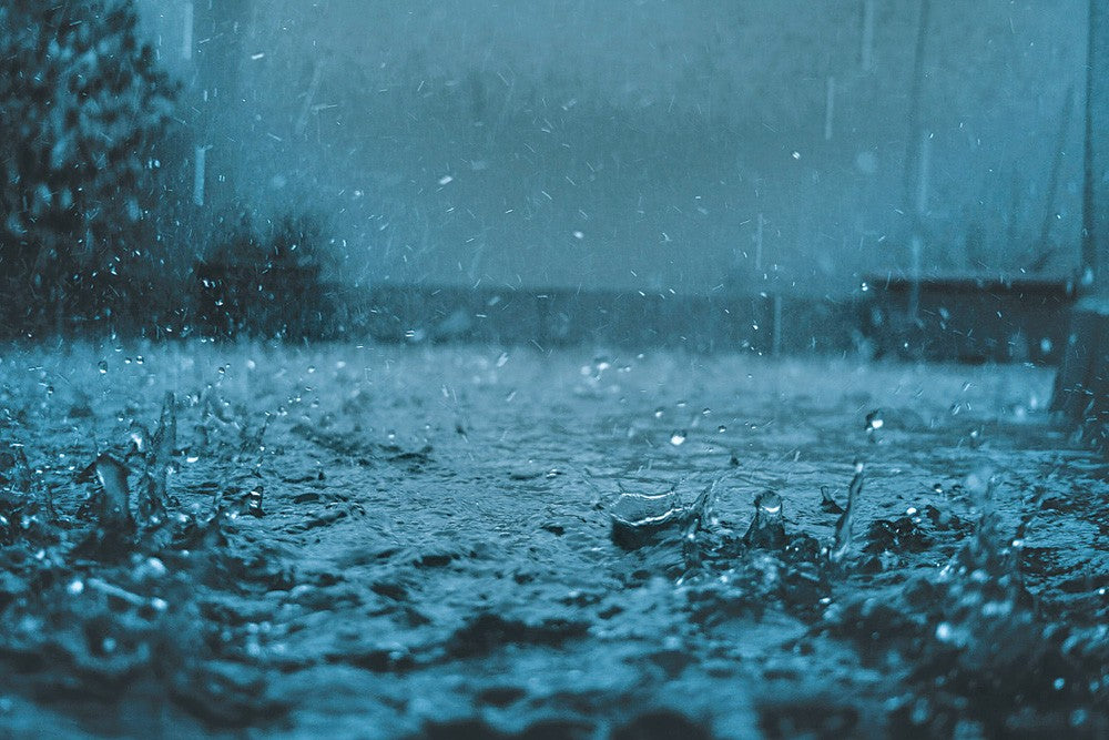 Monsoon Season